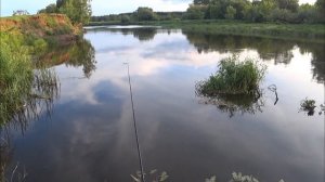 Рыбалка с женой на донку на реке Клязьма!