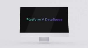 Platform V DataSpace