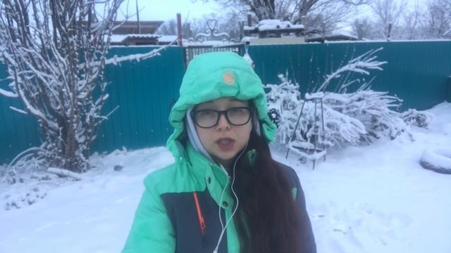 Сумасшедшии истории когда смотришь недвижимость. Много животных и снега. Переезд в деревню. смотреть онлайн