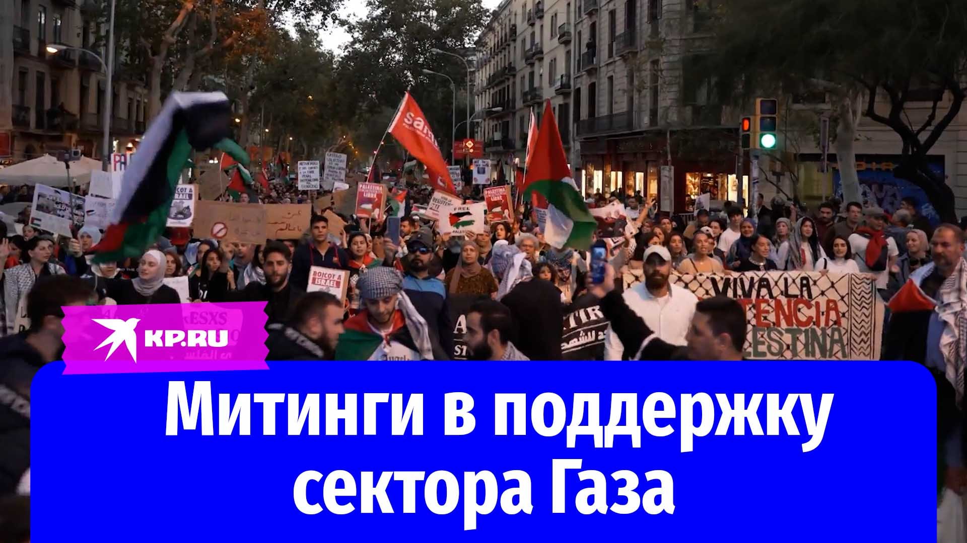 По всему миру проходят акции в поддержку сектора Газа и Палестины: ?Накануне
