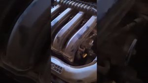 Что шумит в рено дастер, когда заводишь, кто знает?