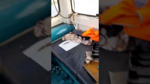 Поменял переднее колесо и рычаг кпп на тракторе ЮМЗ