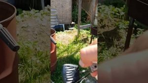 лодочный мотор гибрид продажа