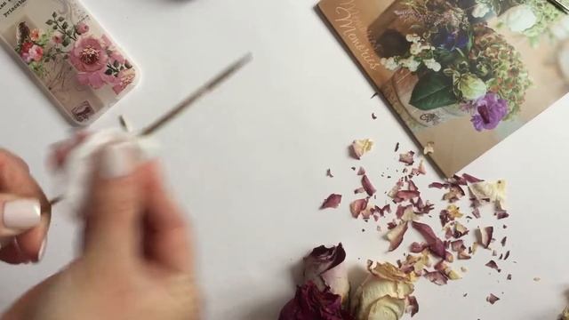 Спица. Как очистить спицы?