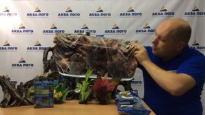 Выбираем фон для аквариума?