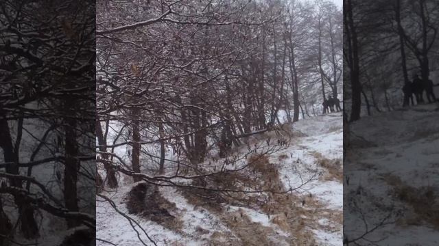 в горах Кавказа