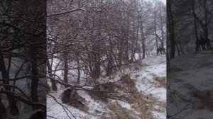 в горах Кавказа
