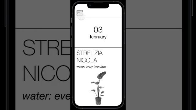 WATER YOUR PLANTS micro interaction in FIGMA смотреть онлайн