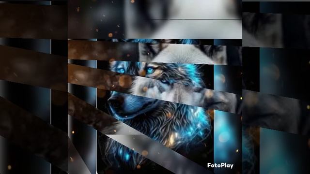 волки