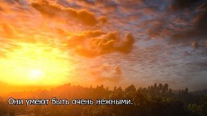 10 причин, почему Скорпионы — лучшие любовники.