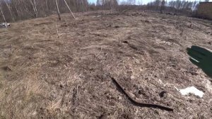 НАКОНЕЦ-ТО ДОЖДАЛСЯ! ВЕСЕННИЙ КОП МЕТАЛЛА 2022