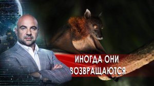 Иногда они возвращаются. «Как устроен мир» с Тимофеем Баженовым (07.01.2022).