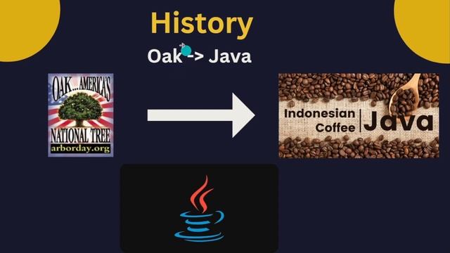 Java Tutorial For Beginners | Introduction To Java In Bangla Class -01 смотреть онлайн