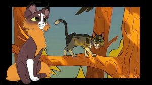 почему я перестала снимать реакции на Сью ? / коты воители / белолапка кв