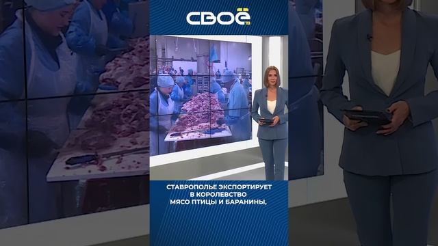 Ставрополье будет расширять экономическое сотрудничество с Саудовской Аравией. #Shorts