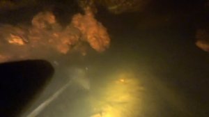 ПОДВОДНАЯ ОХОТА НА КАНАЛЬНОГО (АМЕРИКАНСКОГО) СОМА!!!