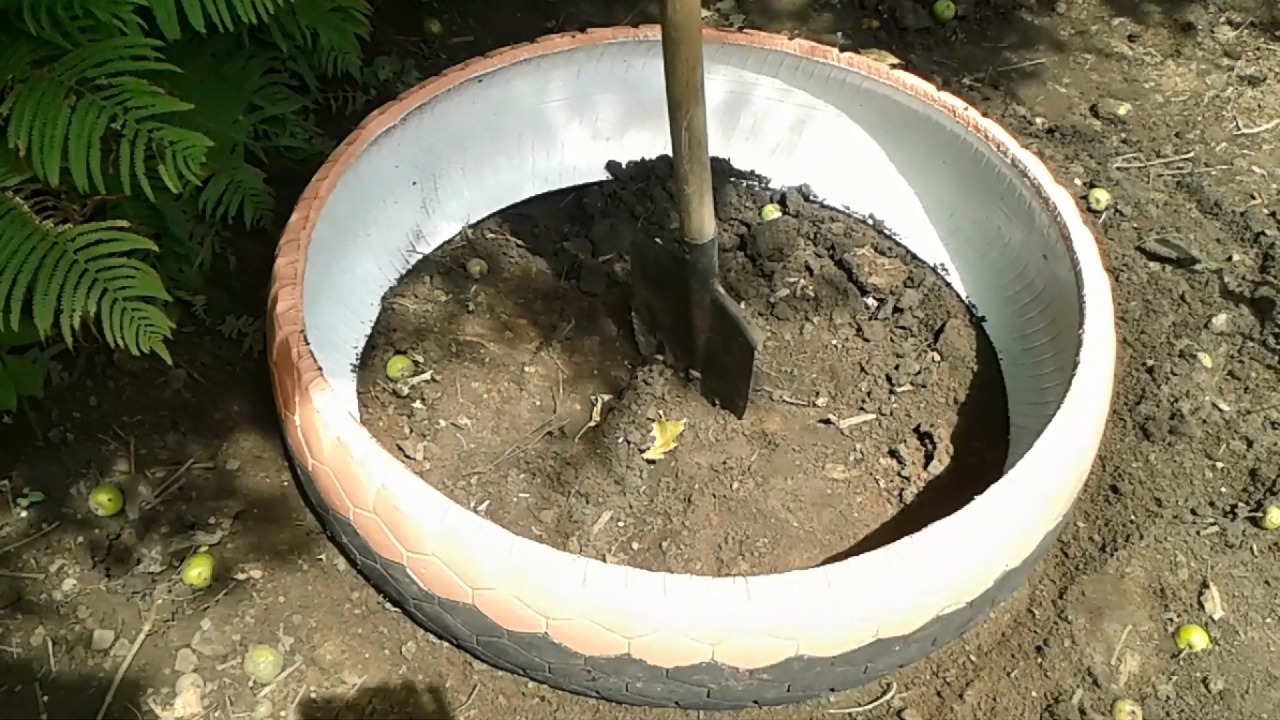 Декоративный бассейн из шины от автобуса ЛАЗ смотреть онлайн