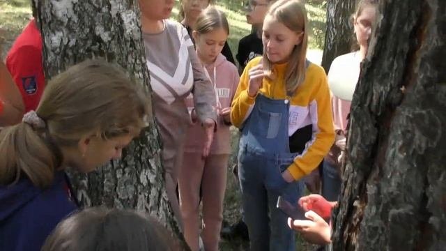 Лесная школа 2020. День 7 #наш_лицей95.mp4