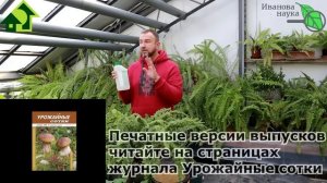 ВОТ СРЕДСТВО ПРОТИВ СЛИЗНЕЙ! Запаситесь им и оно поможет защитить сад и огород от хвори и шкоды.