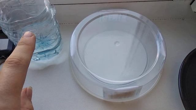 30.08.2019. Денежное дерево. Размножение листом. Сухой или влажный воздух? смотреть онлайн