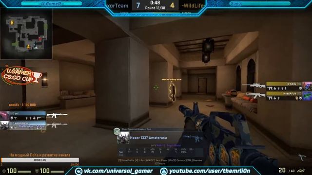 *ЗАПИСЬ СТРИМА* Матч Haxor team vs "WildLife" смотреть онлайн