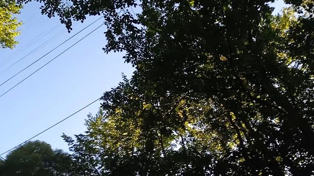 Мистер Хоппс Восстание (1 серия)