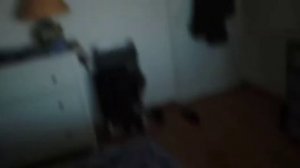 My little pony в реальной жизни новое видео 🦄