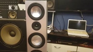 Акустика Константина Canton gle 496 после ремонта