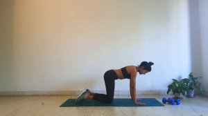 Upper Body Workout with Richa