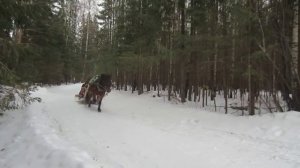 Дрифт на лошади