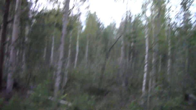 рг Раскат и Байка 10. 08. 18 г. смотреть онлайн