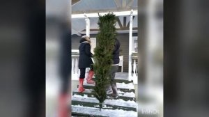 Новогодняя гирлянда из еловых веток