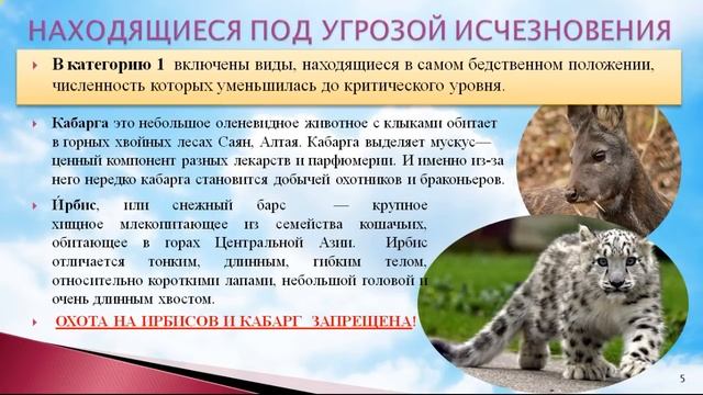 Презентация "Красная Книга или возьмем под защиту" смотреть онлайн