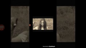 Дили дили бом