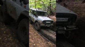 УАЗы и Нивы в лесу