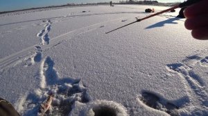 ЭТО ПЕРВЫЙ ЛЕД РЕБЯТА!!!КРУПНАЯ ЩУКА НА ЖЕРЛИЦЫ!Окунь на балансир,Рыбалка 2020-2021, безмотылка.