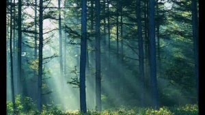 Henri Sorvali - Epic & classical