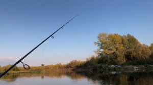 Бешеный клев Судака. Рыбалка в Оренбурге. Река Урал