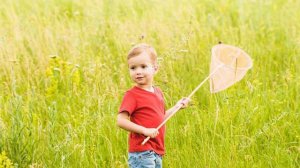 Веточка кленовая