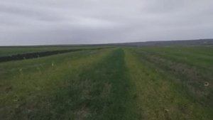 Ростовская область срок и глубина посева озимой пшеницы.