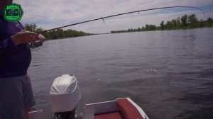 Жёсткий тест спиннинга "ARGUMENT"