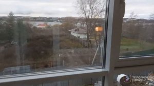 Отель Волга. Кострома. Ноябрь 2022 года