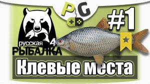 2018 АРХИВ Русская Рыбалка 4 - Клевое Место Озеро комариное (Potryasov Game)