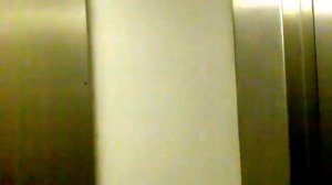 Martin Creed, Work No. 409