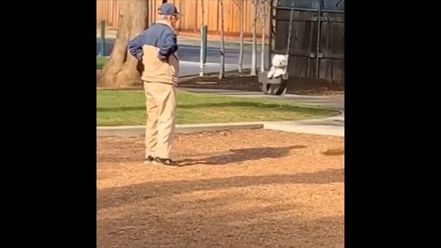 025 AWW Animals SOO Симпатичные Симпатичные детеныши животных Видео Подборка милых моментов животны смотреть онлайн