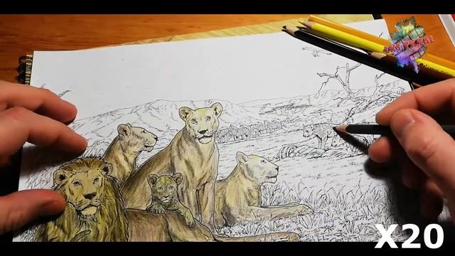 ЛЬВЫ Раскраска, обработка ч/б картинки - не залипнуть бы смотреть онлайн