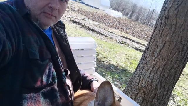 Мы с Полканом на границе смотреть онлайн