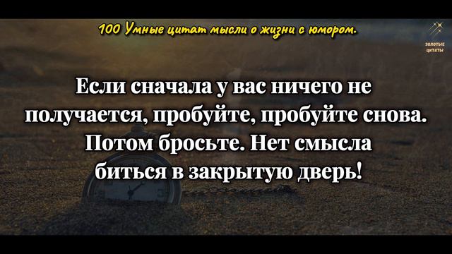 Просто до Слёз! Смех Через Мудрость - 100 юмористических Мыслей, Умные Цитаты о Жизни с Юмором.