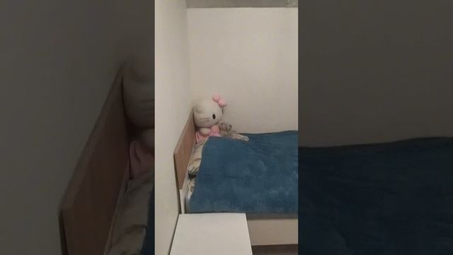 Продолжаю убираться к Новому году. Уборка после ремонта. смотреть онлайн