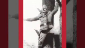 Солдатам ГСВГ посвящается!